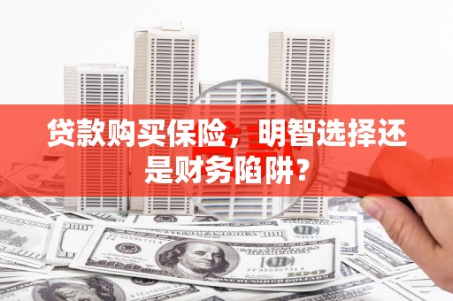 南宫贷款购买保险，明智选择还是财务陷阱？