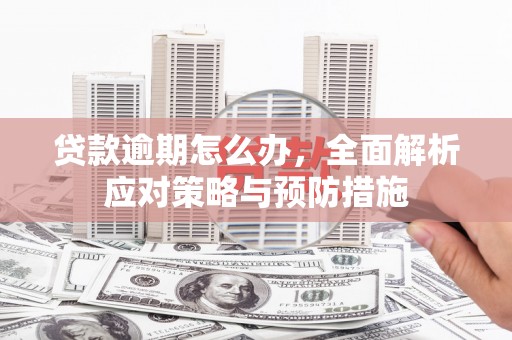 南宫贷款逾期怎么办，全面解析应对策略与预防措施