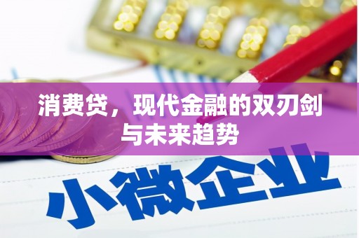 南宫消费贷，现代金融的双刃剑与未来趋势