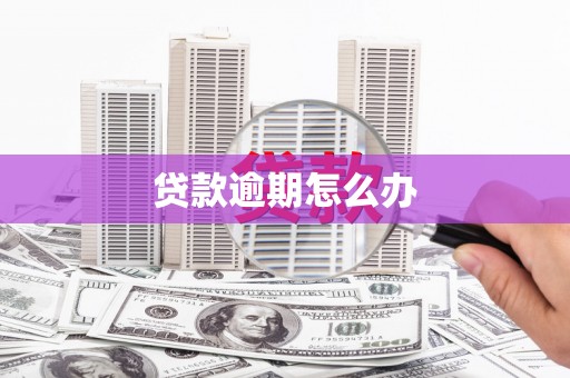 南宫贷款逾期怎么办