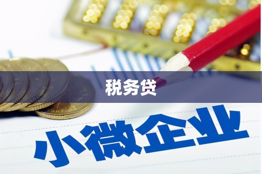 南宫税务贷