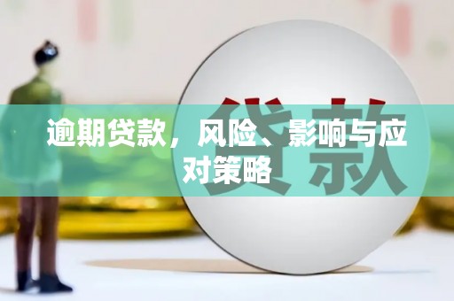 南宫逾期贷款，风险、影响与应对策略