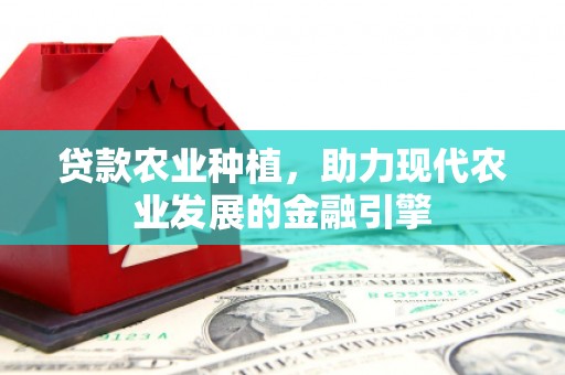 南宫贷款农业种植，助力现代农业发展的金融引擎