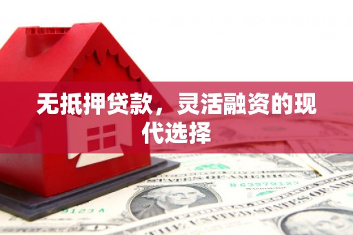 南宫无抵押贷款，灵活融资的现代选择