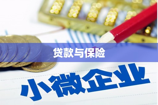 南宫贷款与保险