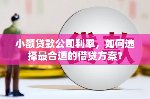 南宫小额贷款公司利率，如何选择最合适的借贷方案？