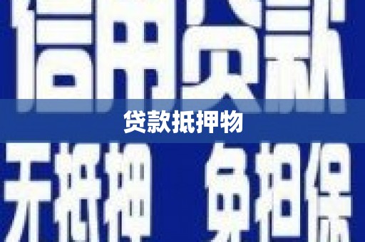 南宫贷款抵押物