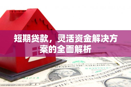 南宫短期贷款，灵活资金解决方案的全面解析