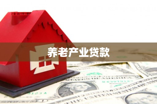 南宫养老产业贷款