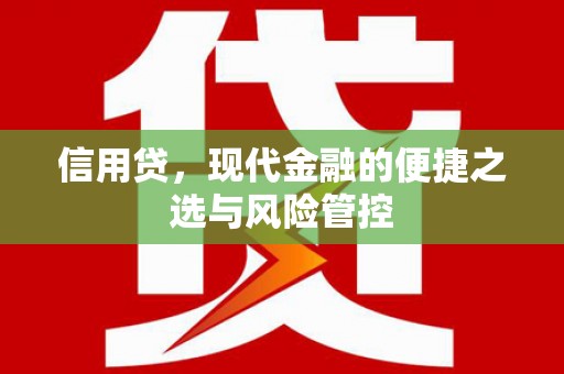 南宫信用贷，现代金融的便捷之选与风险管控