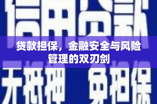 南宫贷款担保，金融安全与风险管理的双刃剑