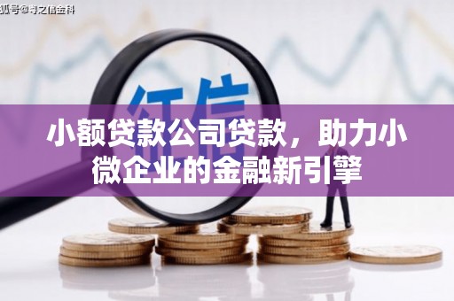 南宫小额贷款公司贷款，助力小微企业的金融新引擎