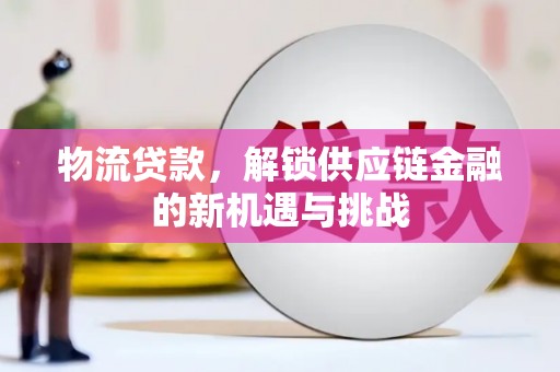 南宫物流贷款，解锁供应链金融的新机遇与挑战