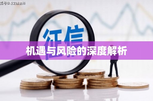 南宫机遇与风险的深度解析