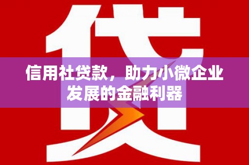 南宫信用社贷款，助力小微企业发展的金融利器