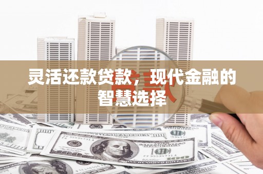 南宫灵活还款贷款，现代金融的智慧选择