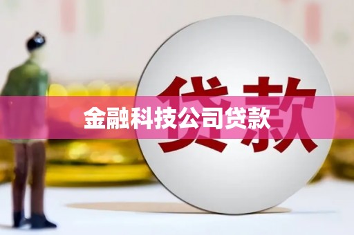南宫金融科技公司贷款