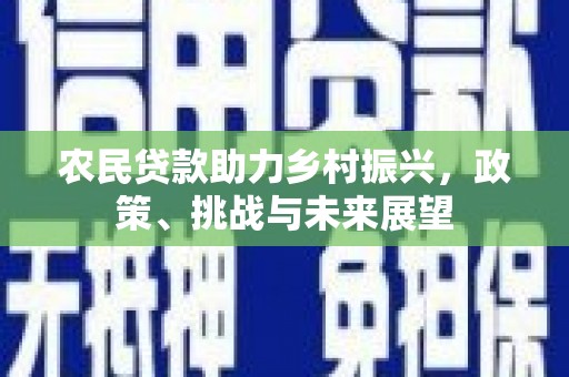 南宫农民贷款助力乡村振兴，政策、挑战与未来展望