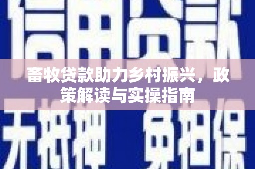 南宫畜牧贷款助力乡村振兴，政策解读与实操指南