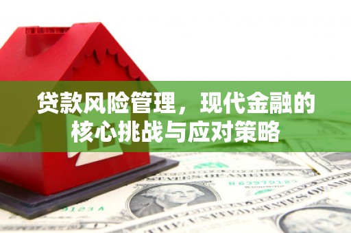 南宫贷款风险管理，现代金融的核心挑战与应对策略