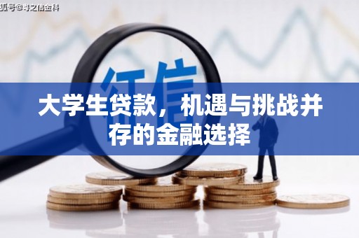 南宫大学生贷款，机遇与挑战并存的金融选择