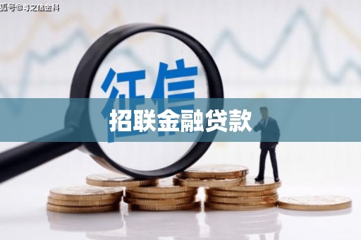南宫招联金融贷款