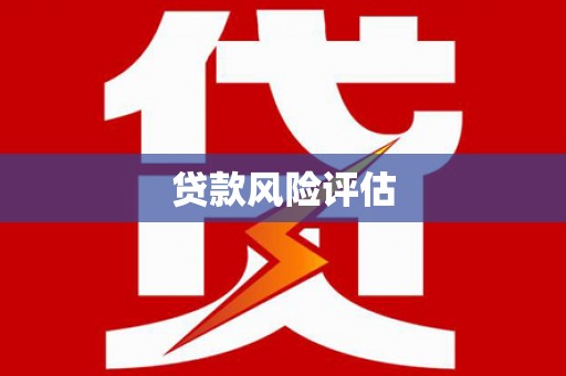 南宫贷款风险评估