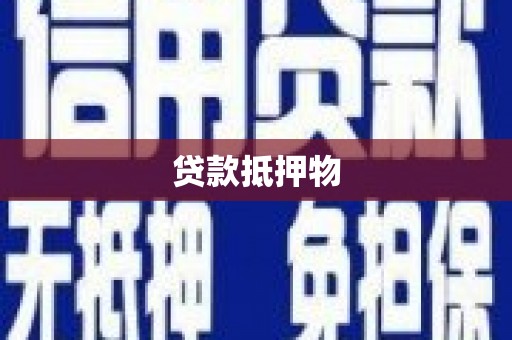 南宫贷款抵押物