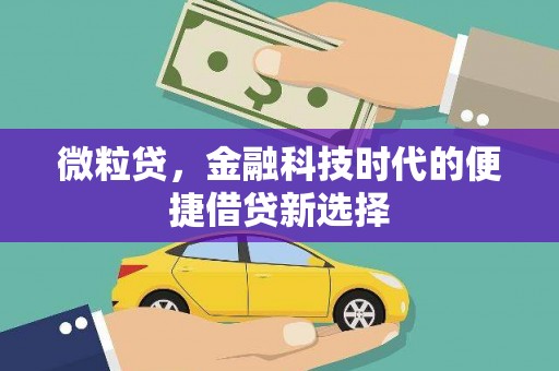 南宫微粒贷，金融科技时代的便捷借贷新选择