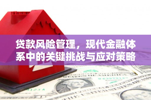 南宫贷款风险管理，现代金融体系中的关键挑战与应对策略