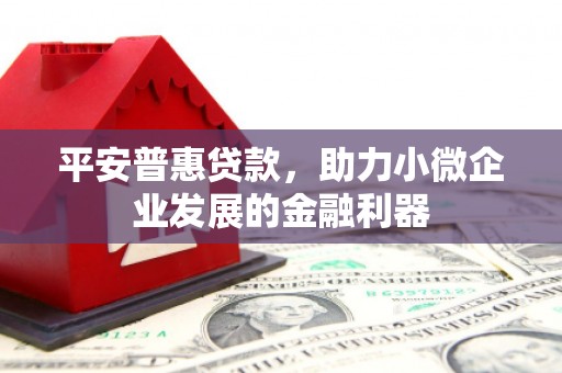 南宫平安普惠贷款，助力小微企业发展的金融利器
