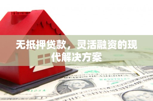 南宫无抵押贷款，灵活融资的现代解决方案
