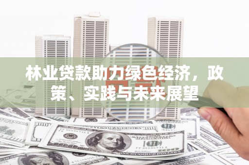 南宫林业贷款助力绿色经济，政策、实践与未来展望
