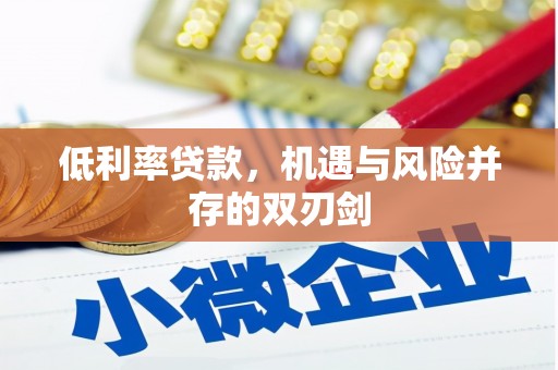 南宫低利率贷款，机遇与风险并存的双刃剑