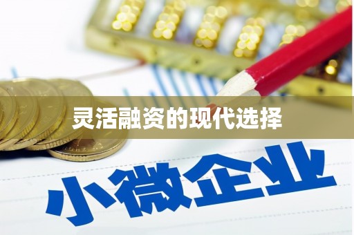 南宫灵活融资的现代选择