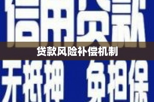 南宫贷款风险补偿机制
