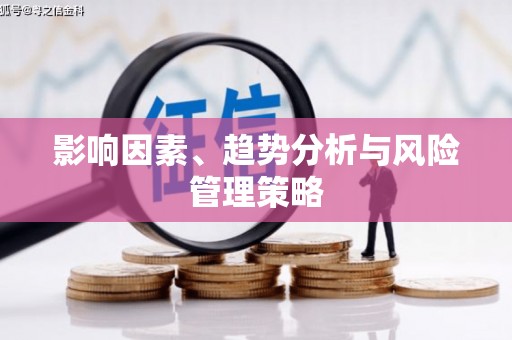 南宫影响因素、趋势分析与风险管理策略
