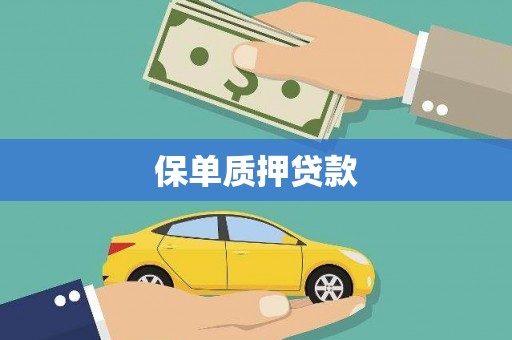 南宫保单质押贷款