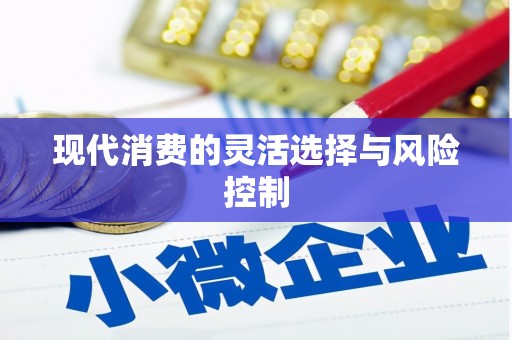 南宫现代消费的灵活选择与风险控制