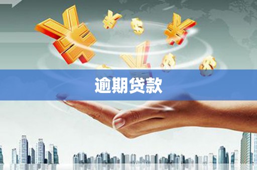 南宫逾期贷款