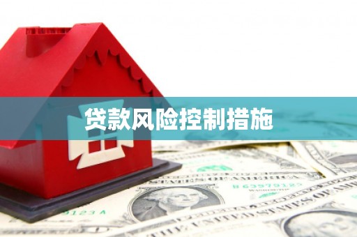 南宫贷款风险控制措施