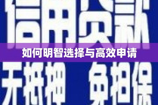 南宫如何明智选择与高效申请