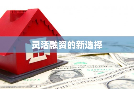 南宫灵活融资的新选择
