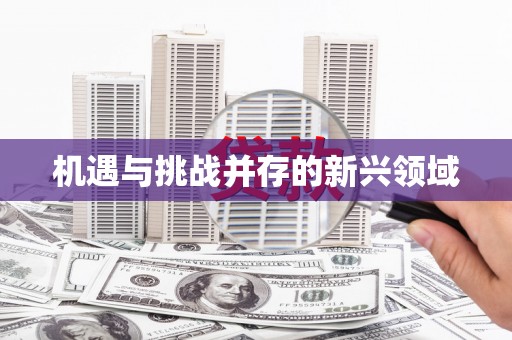 南宫机遇与挑战并存的新兴领域