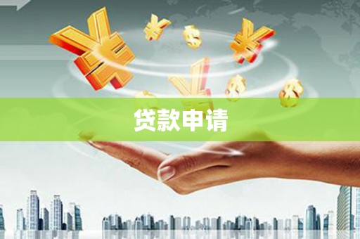 南宫贷款申请