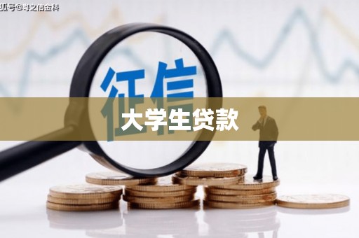 南宫大学生贷款