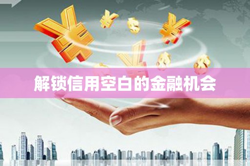 南宫解锁信用空白的金融机会