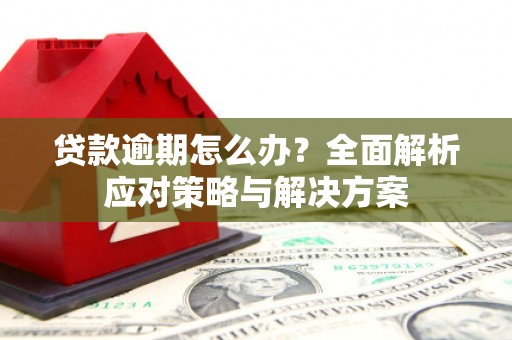 南宫贷款逾期怎么办？全面解析应对策略与解决方案