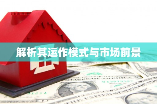 南宫解析其运作模式与市场前景