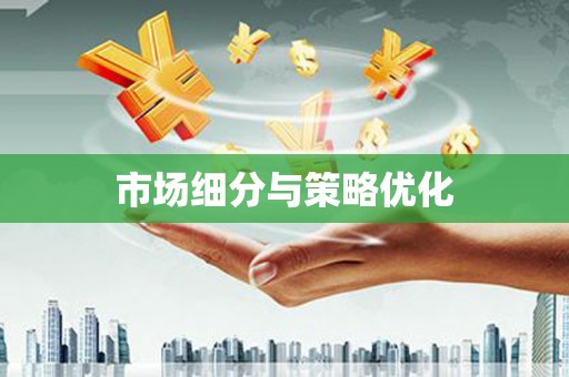 南宫市场细分与策略优化
